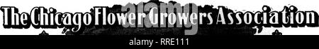 . Fioristi' review [microformati]. Floricoltura. 36 i fioristi^ Review Dbcbhbeb 16, 1920 GEO. C WBILAND, Prcsldrat FRED SCHRAMM, Vlc"-PrMldmit RUDOLPH ELLSWORTH, SccrcUry CHARLES BIcCAULEY. Trcuurer vogliono i nostri clienti-e. Commercio all'ingrosso GD9sposi "^CUT FL9WEPS^^--^piante % 182 N. Wabash Avenue Chicago L. D. Phone Randolph 631 spingere le rose rosa mentre abbiamo un grande rifornimento di tutti i tipi di fiori di fine per il periodo di Natale, sollecitiamo il commercio per spingere le rose rosa come il più abbondante elemento e a vendere con cautela sul rose rosse, anche piselli dolci e violette, quanto meno abbondante in proporzione alla vera grande deman Foto Stock