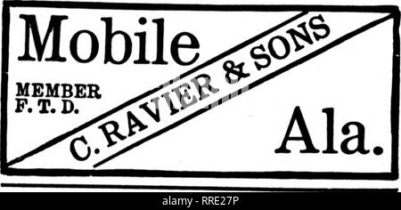 . Fioristi' review [microformati]. Floricoltura. Fiorista. MOBILE, ALABAMA GOODBRAD FLORAL CO. MONTGOMERY, ALA. Alabama leader fioristi Rosemont Gcirdens Stati F. T. D. corrispondenza sollecitato Mobile, Alabama ¥^}i: Mi età Floral Co. BIRMINGHAM, ALA. PARKER'S FLOWER STORE. Si prega di notare che queste immagini vengono estratte dalla pagina sottoposta a scansione di immagini che possono essere state migliorate digitalmente per la leggibilità - Colorazione e aspetto di queste illustrazioni potrebbero non perfettamente assomigliano al lavoro originale. Chicago : fioristi' Pub. Co Foto Stock