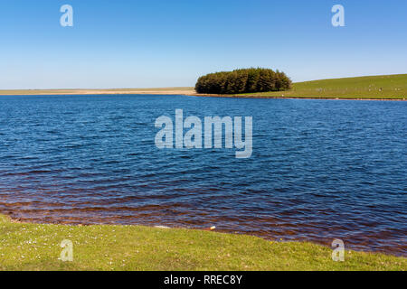 Giornata di sole a affollata serbatoio sulla Bodmin Moor Cornwall Inghilterra UK Europa Foto Stock