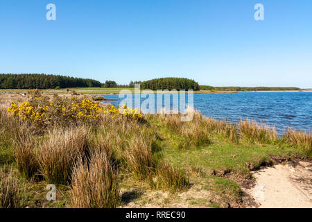 Giornata di sole a affollata serbatoio sulla Bodmin Moor Cornwall Inghilterra UK Europa Foto Stock