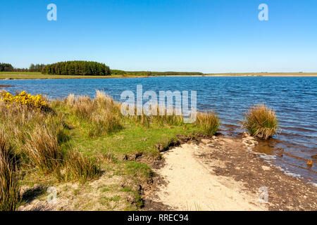 Giornata di sole a affollata serbatoio sulla Bodmin Moor Cornwall Inghilterra UK Europa Foto Stock