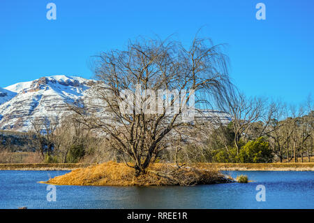 Picture Perfect Snow capped Drakensberg montagne e pianure verdi in Underberg vicino Sani Pass Africa Foto Stock