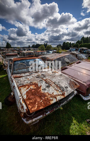 Smash Palace auto rottami cantiere sulla North Island, Nuova Zelanda. Foto Stock