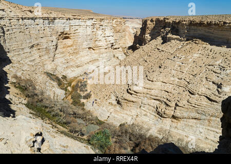 Guardando verso il basso gli escursionisti in avvicinamento al decidious eufrate poplar grove in nahal zin canyon di ein avdat park in Israele Foto Stock