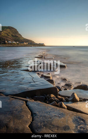 Battuta Kimmeridge esposto dalla bassa marea a Kimmeridge Bay Dorset Inghilterra Foto Stock