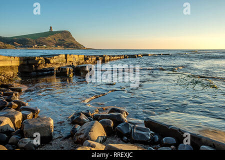 Battuta Kimmeridge esposto dalla bassa marea a Kimmeridge Bay Dorset Inghilterra Foto Stock