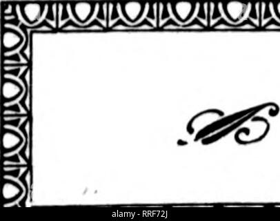 . Fioristi' review [microformati]. Floricoltura. Apeil 14, 1921 i fioristi' Riesaminare 25 CHICAGO'S PAGEANT ^ mi^m(i&LT;^(m(6(Ifi&lt;m&LT;[^&lt;m(m(&amp;(i&lt;m&LT;^. Indirizzi sindaco fioristi. Pageant di avanzamento il tema. Per sollecitare la partecipazione di fioristi di Chicago nella grande parata di Prog- ress, che si terrà il 31 luglio al 14 agosto presso il molo municipale, Sindaco William Hale Thompson è apparso nella persona di giovedì sera, 7 Aprile all'indirizzo Chicago fioristi' Club presso il suo rego- lar incontro presso l'Hotel Randolph. Il sindaco delineato gli ambiziosi piani di cui da se stesso e i suoi soci, la Foto Stock