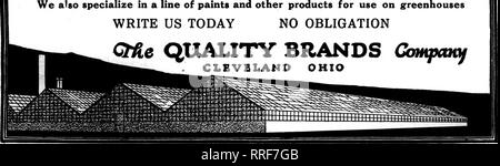 . Fioristi' review [microformati]. Floricoltura. Ai"RiL 7, 1921 v; *-,f. " ^^'J%t'T"IW mi^t'. I fioristi^ Review 127 .?;?ii"=^ TXFIASTIC LAaiNG composto si dovrebbe assistere alla REGLAZING della vostra serra scrivi al nostro servizio di assistenza tecnica solo oggi quanto lavoro avete, in modo che essi possono citare cifre reali che mostra il grande risparmio si farà attraverso l uso di VITAPLASTIC. Garantiamo vitaplastic composto di vetratura chiedere 5'i nostri vicini coltivatore floreali come la sua eccellenza siamo specializzati anche in una linea di vernici e altri prodotti per uso su sfreenhouses SCRIVETECI OGGI NESSUN OBBLIGO Foto Stock