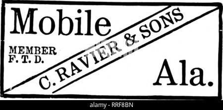 . Fioristi' review [microformati]. Floricoltura. Fiorista. MONTGOMERY, ALA. Alabama leader fioristi Rosemont Giardini Stati F. T. D. corrispondenza sollecitato MOBILE, ALABAMA GOODBRAD FLORAL CO. Mobile, Alabama signor La Mi età Floral Co. BIRMINGHAM, ALA. PARKER'S FLOWER STORt. Si prega di notare che queste immagini vengono estratte dalla pagina sottoposta a scansione di immagini che possono essere state migliorate digitalmente per la leggibilità - Colorazione e aspetto di queste illustrazioni potrebbero non perfettamente assomigliano al lavoro originale. Chicago : fioristi' Pub. Co Foto Stock
