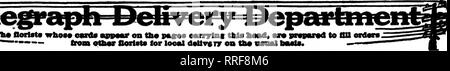 . Fioristi' review [microformati]. Floricoltura. Til* Oorlsts wtao"" esvda appwtf su ftae p"s"* eanrlnc questo iMsd* •?": ...^ da "Ui"r florUts per locale (Miv^rr su tli* nsnal ImmI*.. Si prega di notare che queste immagini vengono estratte dalla pagina sottoposta a scansione di immagini che possono essere state migliorate digitalmente per la leggibilità - Colorazione e aspetto di queste illustrazioni potrebbero non perfettamente assomigliano al lavoro originale. Chicago : fioristi' Pub. Co Foto Stock