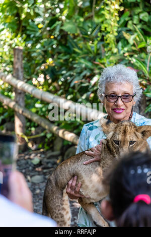 Latin nonna holding baby lion in zoo guatemalteca Foto Stock