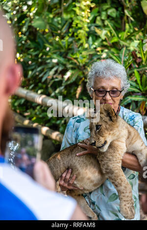 Latin nonna holding baby lion in zoo guatemalteca Foto Stock