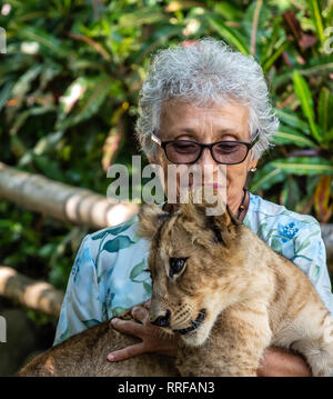 Latin nonna holding baby lion in zoo guatemalteca Foto Stock