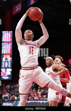 Piscataway, New Jersey, USA. Il 25 febbraio, 2019. Wisconsin Badgers avanti MARSHA HOWARD (11) afferra un rimbalzo contro la Rutgers Scarlet Knights in un gioco al Rutgers Athletic Center. Credito: Joel Plummer/ZUMA filo/Alamy Live News Foto Stock