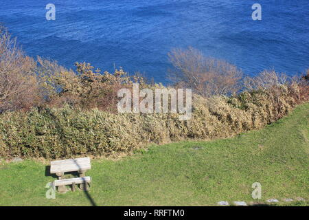 Hakodate, Hakodate, Cina. 26 Febbraio, 2019. Cape Tachimachi-misaki è famosa per la sua vista panoramica della costa Omorihama e splendide scogliere a strisce alla base del Mt.Hakodate in Hakodate, Hokkaido, Giappone. Credito: SIPA Asia/ZUMA filo/Alamy Live News Foto Stock