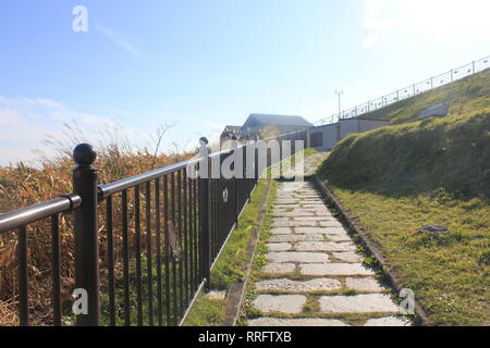 Hakodate, Hakodate, Cina. 26 Febbraio, 2019. Cape Tachimachi-misaki è famosa per la sua vista panoramica della costa Omorihama e splendide scogliere a strisce alla base del Mt.Hakodate in Hakodate, Hokkaido, Giappone. Credito: SIPA Asia/ZUMA filo/Alamy Live News Foto Stock