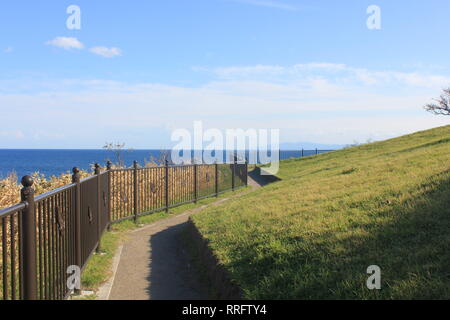 Hakodate, Hakodate, Cina. 26 Febbraio, 2019. Cape Tachimachi-misaki è famosa per la sua vista panoramica della costa Omorihama e splendide scogliere a strisce alla base del Mt.Hakodate in Hakodate, Hokkaido, Giappone. Credito: SIPA Asia/ZUMA filo/Alamy Live News Foto Stock