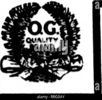 . Fioristi' review [microformati]. Floricoltura. Il Rorists^ Review Januabt 27, 1921. Si prega di notare che queste immagini vengono estratte dalla pagina sottoposta a scansione di immagini che possono essere state migliorate digitalmente per la leggibilità - Colorazione e aspetto di queste illustrazioni potrebbero non perfettamente assomigliano al lavoro originale. Chicago : fioristi' Pub. Co Foto Stock