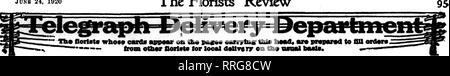 . Fioristi' review [microformati]. Floricoltura. JUNB 24, 1920 i fioristi^ Review. Si prega di notare che queste immagini vengono estratte dalla pagina sottoposta a scansione di immagini che possono essere state migliorate digitalmente per la leggibilità - Colorazione e aspetto di queste illustrazioni potrebbero non perfettamente assomigliano al lavoro originale. Chicago : fioristi' Pub. Co Foto Stock