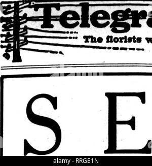 . Fioristi' review [microformati]. Floricoltura. OCTOBBB 7, 1920 i fioristi' Review. Si prega di notare che queste immagini vengono estratte dalla pagina sottoposta a scansione di immagini che possono essere state migliorate digitalmente per la leggibilità - Colorazione e aspetto di queste illustrazioni potrebbero non perfettamente assomigliano al lavoro originale. Chicago : fioristi' Pub. Co Foto Stock