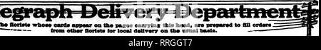 . Fioristi' review [microformati]. Floricoltura. JUNB 10, 1920. I fioristi^ Rassegna 91. Si prega di notare che queste immagini vengono estratte dalla pagina sottoposta a scansione di immagini che possono essere state migliorate digitalmente per la leggibilità - Colorazione e aspetto di queste illustrazioni potrebbero non perfettamente assomigliano al lavoro originale. Chicago : fioristi' Pub. Co Foto Stock