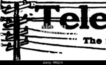 . Fioristi' review [microformati]. Floricoltura. 88 i fioristi^ Revisione Luglio 15. 1920. Si prega di notare che queste immagini vengono estratte dalla pagina sottoposta a scansione di immagini che possono essere state migliorate digitalmente per la leggibilità - Colorazione e aspetto di queste illustrazioni potrebbero non perfettamente assomigliano al lavoro originale. Chicago : fioristi' Pub. Co Foto Stock