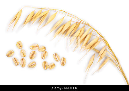 Oat spike con fiocchi di avena isolati su sfondo bianco. Vista dall'alto. Lay piatto Foto Stock