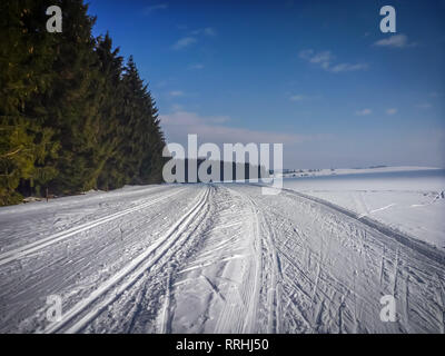 Sci nordico sentieri sul Frysavsky ledovec vicino Frysava, Czech-Moravian highlands, Repubblica Ceca Foto Stock