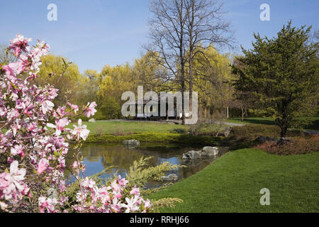 Rosa fiore Magnolia albero e stagno bordato da Salix - Weeping Willow Trees e il padiglione Lookout nel giardino giapponese in primavera Foto Stock