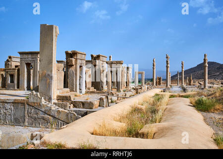 Pilastri del palazzo Apadana, Persepolis, Sito Patrimonio Mondiale dell'UNESCO, far Provincia, Iran, Medio Oriente Foto Stock