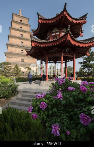 Giant Pagoda dell'Oca Selvaggia (Grande Pagoda), Xi'an, Shaanxi Province, Cina, Asia Foto Stock