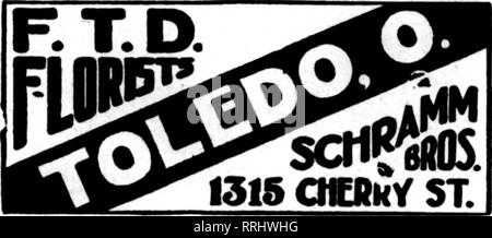 . Fioristi' review [microformati]. Floricoltura. Cleveland Il KNOBLE BROS. CO., fiori e prodotti di vivai membri P. T. D. 1836 W. 25th St. ben attrezzato per gestire i vostri ordini. "TOLEDO COHHERCIAL I SOCI DEL CLUB A TOLEDO I COMMERCIANTI AL DETTAGLIO I fioristi' CONSEGNA del telegrafo Toledo, Ohio METZ &AMP; BATEMAN, 221 Superior San Ohio edificio i. TOLEDO e vicinanza ALL'INGROSSO E AL MINUTO OTTO P. KRUEGER 427 East Broadway.. Si prega di notare che queste immagini vengono estratte dalla pagina sottoposta a scansione di immagini che possono essere state migliorate digitalmente per la leggibilità - Colorazione e aspetto di queste illustrazioni potrebbero non perfetta Foto Stock