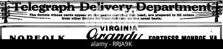 . Fioristi' review [microformati]. Floricoltura. Febbraio 20, 1919. I fioristi^ Rassegna 61. NORFOLK Stati fioristi' Consegna Telesraph ass'n. Si prega di notare che queste immagini vengono estratte dalla pagina sottoposta a scansione di immagini che possono essere state migliorate digitalmente per la leggibilità - Colorazione e aspetto di queste illustrazioni potrebbero non perfettamente assomigliano al lavoro originale. Chicago : fioristi' Pub. Co Foto Stock