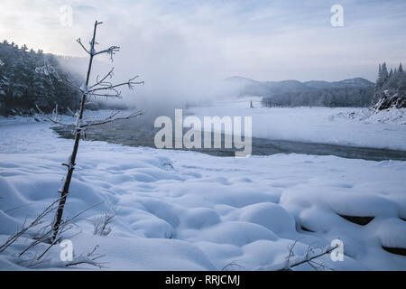 Un albero a snowy a riva di un fiume in inverno dal quale sale di vapore e di un ponte di sospensione. Altai, Siberia, Russia Foto Stock