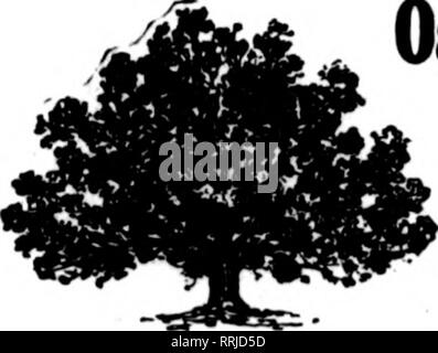 . Fioristi' review [microformati]. Floricoltura. 66 i fioristi' rivedere Agosto 30, 1917. Vivaio per Tlorists' Trtde alberi da frutto. Alberi ornamentali, arbusti, piccoli frutti, rose, Clematis, Phlox, Peonie, piante erbacee perenni. Scrivere per oar commercio all'ingrosso elenco. W. &AMP; T. SMITH COMPANY, 71 anni di Ginevra, N. Y. 1000 acri menzionare il Bevlew quando youwrite. La società Rakestraw-Pyle Kennett Square, Pa. Una linea completa di frutti, l'ombra degli alberi, sempre verdi, arbusti e piante di Hedge scrivere per il listino prezzi menzionare il Heview quando scrivi. Il Storrs &AMP; flarrison Co. PAINESVIUC MIRSCRIES Nunerym Foto Stock