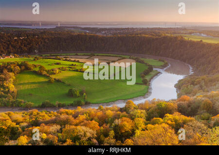 Wyndcliff superiore, fiume Wye e Severn Estuary, Wye Valley, Monmouthshire, Wales, Regno Unito, Europa Foto Stock