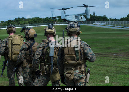 Marines con il trentunesimo Marine Expeditionary Unit marittimo della forza Raid attendere per caricare un MV-22B Osprey tiltrotor aeromobile durante un raid simulato a Camp Hansen, Okinawa, in Giappone, Feb 25, 2019. Il trentunesimo Meu, in un comando rivoluzionario ed esercizio di controllo, è il completamento di operazioni di divisione di fronte a un ampio swath dell'Indo-Pacifico regione comprendente almeno quattro posizioni geografiche - Okinawa, in Giappone; a bordo del dock landing ship USS Ashland (LSD 48) nel Mare della Cina del Sud; a bordo del trasporto anfibio USS dock Green Bay (LPD 20) nel Golfo della Thailandia; e altre posizioni nascoste. Questo è t Foto Stock