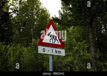 Moose segno di traffico. Elk segno di traffico. Cartello stradale. Attenzione per gli animali selvatici. Foto Stock