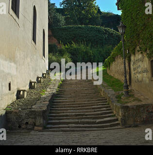 Scale di pietra andando fino in corrispondenza della Fortezza Petrovaradin, Novi Sad Foto Stock