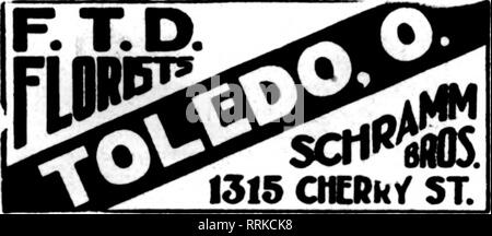 . Fioristi' review [microformati]. Floricoltura. Fioristi leader Avenue**^* Clevelanci Zanesville, O. C. L. HCTMPHREY ha le migliori strutture per fillins i vostri ordini. Gli Stati fioristi' Telegraph Consegna.. 1315 CICRhy ST. Olio di ABl© MOHLER il negozio di fiori di Springfield, Ohio il NETTS FLORAL CO.. 1026 Pine St FAIRR.ST Fr/)WKRS A PREZZI FATRFST VAN METER negozio di fiori IT&amp; Springfield, 0, fiori migliori per EVtRY occasione. MRS. J. B. FREEMAN DI "fiori" 336 Superior Street. TOLEDO, OHIO potremo farlo tempestivamente Wilson's, Columbus Ohio COLUMBUS. 0., e in prossimità DEL MUNK FLORAL CO.. I coltivatori Foto Stock