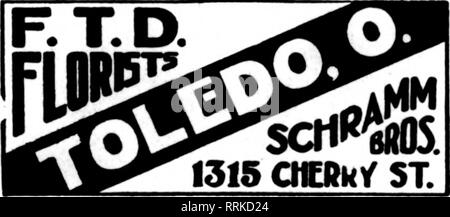 . Fioristi' review [microformati]. Floricoltura. ^ CLEVELAND portando i fioristi Avenuf*^ Cleveland Cleveland Ohio A. GRAHAM &AMP; figlio 5523 EUCLH) AVENUE membri fioristi' Telegraph Assn. consegna MRS. J. B. FREEMAN DI "fiori" 336 Superior Street. TOLEDO. OHIO numero di varietà migliori, come Mina Burgle, re di zolfo, rosa per- fection, Nymphia e altri stanno cominciando a fiorire. Helianthus è bella in questa stagione. Vi è una notevole richiesta di felci e piante da interni, che è una certa- cosa insolita così presto nella stagione. Bianchi della carta Carta gialla bianchi e sacro cinese Foto Stock