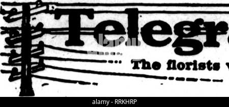 . Fioristi' review [microformati]. Floricoltura. JULT 31, 1919. I fioristi^ Rassegna 61. Si prega di notare che queste immagini vengono estratte dalla pagina sottoposta a scansione di immagini che possono essere state migliorate digitalmente per la leggibilità - Colorazione e aspetto di queste illustrazioni potrebbero non perfettamente assomigliano al lavoro originale. Chicago : fioristi' Pub. Co Foto Stock