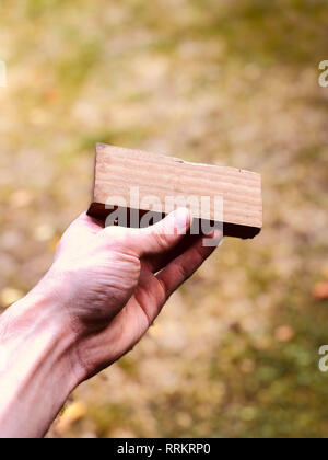 Mano d'uomo in possesso di un pezzo di legno con erba sfocate sullo sfondo Foto Stock