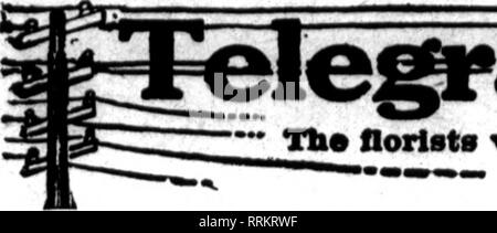 . Fioristi' review [microformati]. Floricoltura. SEPTEMBEK 7.1916. Il THc Floiists^ Rcvicw 53. - Th0 fiorlat* wbose oarda appaiono sul ritmo* oarryins questa testa* sono praparsd a Ull ordini ??&GT;^- Irom otber llorlste per locale deliTenr oa tbe usuali identificatori TMSI.. Si prega di notare che queste immagini vengono estratte dalla pagina sottoposta a scansione di immagini che possono essere state migliorate digitalmente per la leggibilità - Colorazione e aspetto di queste illustrazioni potrebbero non perfettamente assomigliano al lavoro originale. Chicago : fioristi' Pub. Co Foto Stock