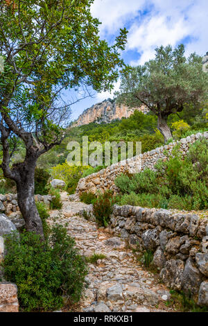 In pietra a secco percorso trekking vicino a Alaró e Alaró castle rock, Maiorca, isole Baleari, Spagna Foto Stock