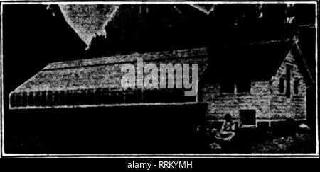 . Fioristi' review [microformati]. Floricoltura. Case efficiente più attenti e prudenti i coltivatori in tutti gli Stati Uniti identif- nize i meriti della nostra costruzione. È il metodo che dà è durevole, case moderne. Le migliori attrezzature e dispositivi salva-lavoro, combinata con una rigorosa economia, ci permettono di citare i prezzi più bassi per il bebt materiali. Scrivere per i nostri schizzi e stime. Ordinare ciò di cui avete bisogno, sia per le operazioni di riparazione o di nuove case. Materiale a effetto serra HARDWARE FOCOLAIO ANTA ICKES-BRAUN MILL CO. 2330 WABANSIA AVENUE, (vicino occidentale e nord Aves.) CHICAGO, ill. Menzionare Th Foto Stock