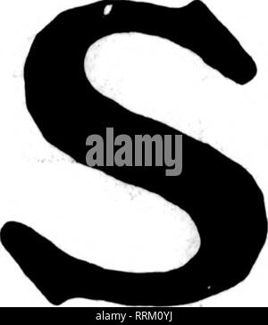 . Fioristi' review [microformati]. Floricoltura. Ampia fornitura di Russell, Ofelia, Milady, Sunburst, Killarney bianco, rosa Killarney, Killarney brillante, = Aaron Ward e tutte le altre principali varietà. La qualità è eccellente. = PREZZI SPECIALI = abbiamo anche tutti gli altri stock seasonable e sono pronti a fornirvi in quantità lotti. = Ho tutte le scorte vengano venduti a prezzi notevolmente ridotti. S I A. L. RANDALL società ho io Wabash Avenue a Lake Street, Chicago, ill. | aiiiiiiiiiiiiiiiiiiiiiiiiiiiiiiiiiiiiiiiiiiiiiiiiiiiiiiiiiiiiiiiiiiiiiiiiiiiiiiiiiiiiiimiiiiiiiiiiiiiiiiiiiiiiiiiniiiiiiiiiiiiiiiiiiiiiiiii Foto Stock