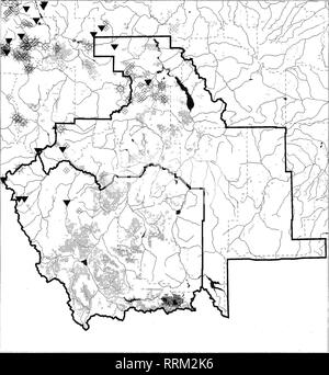 . Anfibi e rettili inventario su le sorgenti e le risorse di Dillon aree in congiunzione con il Red Rock Lakes National Wildlife Refuge . Anfibi e Rettili; rifugi della fauna selvatica; Tiger salamander; rane, rospi; dipinto turtle; Racer snake; Garter serpenti. Osservazioni di Ambystoma macrodactylum Dillon &AMP; sorgenti aree di risorsa e il Red Rock laghi NWR. ? 1996-1998 i record ^ pre-1996 record "iJ^ collezioni del Museo 10 20 30 r-^-'^47Z7J Tm^ Scala in miglia BLM Terre aree USFWS Montana Patrimonio Naturale Programma, Dicembre 21,1998. Si prega di notare che queste immagini vengono estratte dalla pagina sottoposta a scansione Foto Stock