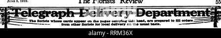 . Fioristi' review [microformati]. Floricoltura. Giugno 5, 1919. I fioristi' Review. Si prega di notare che queste immagini vengono estratte dalla pagina sottoposta a scansione di immagini che possono essere state migliorate digitalmente per la leggibilità - Colorazione e aspetto di queste illustrazioni potrebbero non perfettamente assomigliano al lavoro originale. Chicago : fioristi' Pub. Co Foto Stock