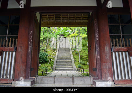 Tempio Jojakko-Ji, Arashiyama Foto Stock